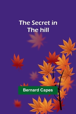 Book cover for The secret in the hill