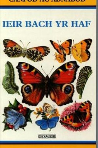 Cover of Cyfres Canfod ac Adnabod: Ieir Bach yr Haf