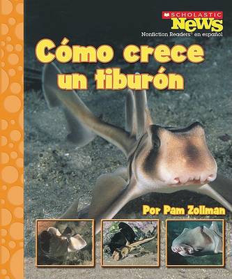 Book cover for Como Crece Un Tiburon