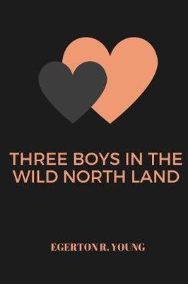 Book cover for Three Boys in the Wild North Land