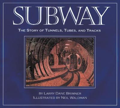 Book cover for Subway