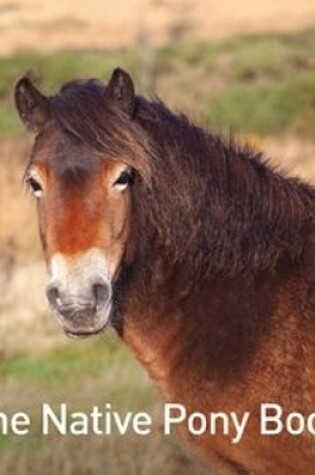 Cover of The Native Pony Book