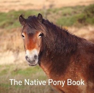 Book cover for The Native Pony Book