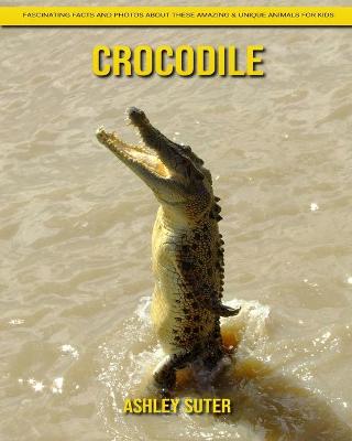 Book cover for Crocodile