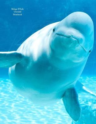 Book cover for Beluga Whale Unruled Notebook