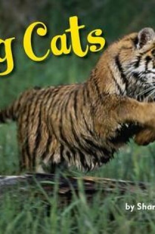 Cover of Big Cats