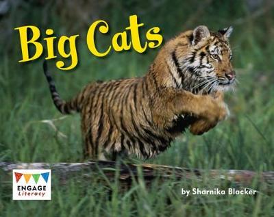 Book cover for Big Cats