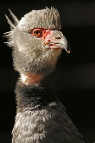 Cover of Crested Screamer Journal