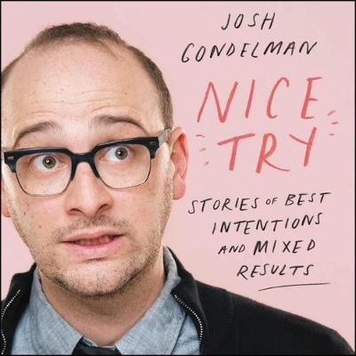 Book cover for Nice Try