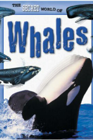 Cover of The Secret World of: Whales