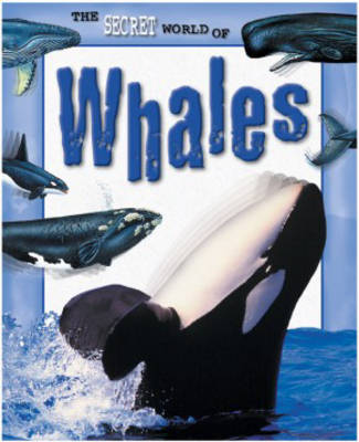 Book cover for The Secret World of: Whales