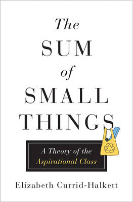 Book cover for The Sum of Small Things