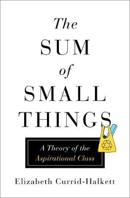 Book cover for The Sum of Small Things