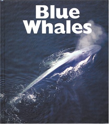 Book cover for Blue Whales