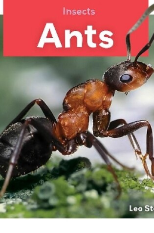 Cover of Insects: Ants
