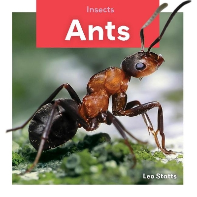 Book cover for Insects: Ants