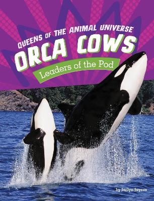Book cover for Orca Cows - Leaders of the Pod