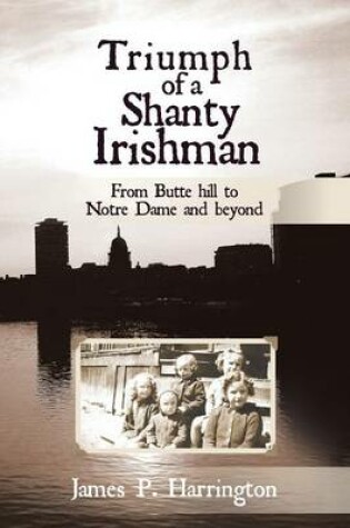 Cover of Triumph of a Shanty Irishman