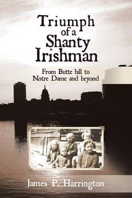 Book cover for Triumph of a Shanty Irishman