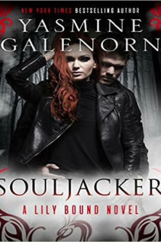 Cover of Souljacker