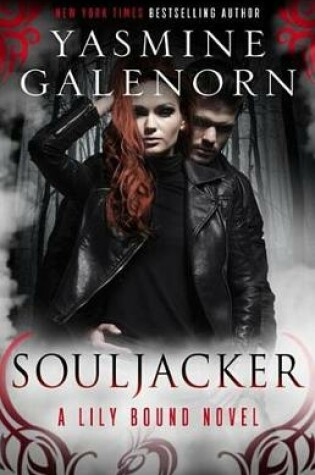 Cover of Souljacker