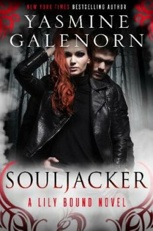 Cover of Souljacker