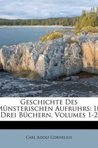 Cover of Geschichte Des Munsterischen Aufruhrs, Erster Band