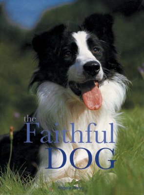 Book cover for The Faithful Dog