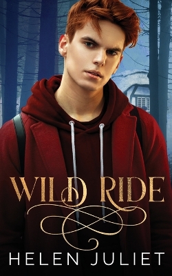 Book cover for Wild Ride