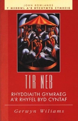 Book cover for Tir Neb