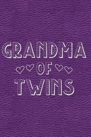 Cover of Grandma of Twins