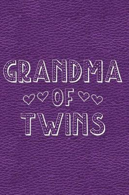 Book cover for Grandma of Twins