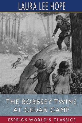 Book cover for The Bobbsey Twins at Cedar Camp (Esprios Classics)