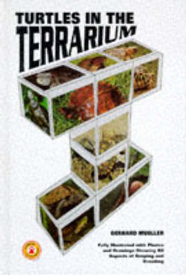 Book cover for Turtles in the Terrarium