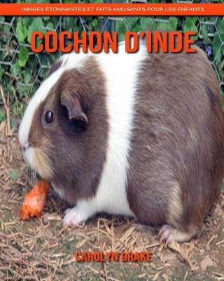 Book cover for Cochon d'Inde