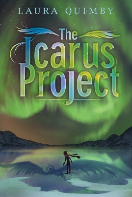 Book cover for The Icarus Project