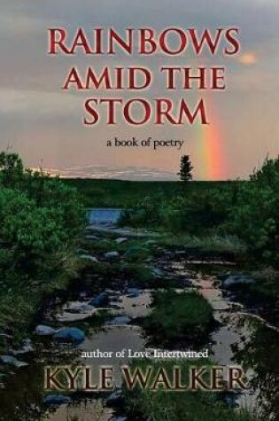 Cover of Rainbows Amid The Storm