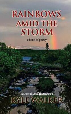 Book cover for Rainbows Amid The Storm