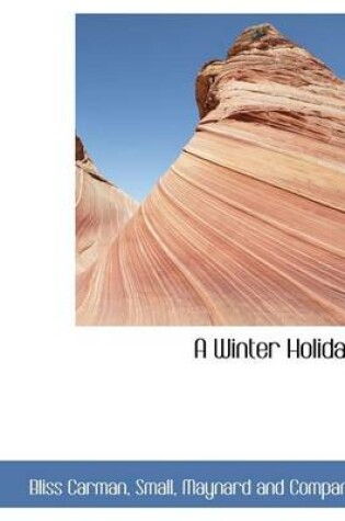 Cover of A Winter Holiday