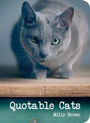 Cover of Quotable Cats