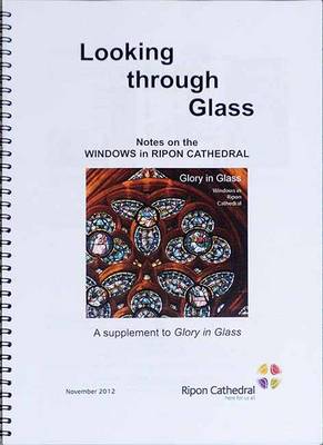 Book cover for Looking Through Glass