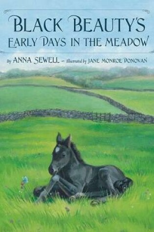 Cover of Black Beauty's Early Days in the Meadow