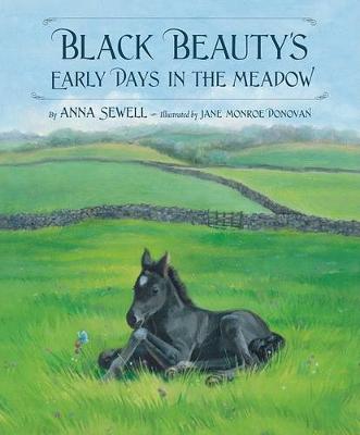 Book cover for Black Beauty's Early Days in the Meadow