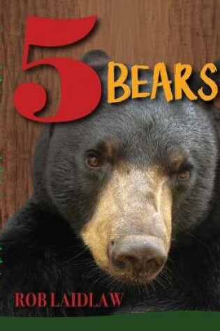 Cover of 5 Bears