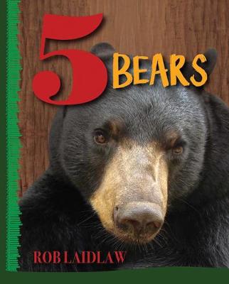 Book cover for 5 Bears