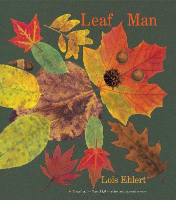 Book cover for Leaf Man: Big Book