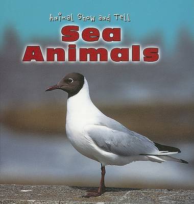 Book cover for Sea Animals