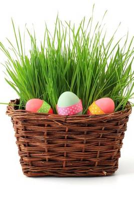 Book cover for Colored Eggs in an Easter Basket Joural