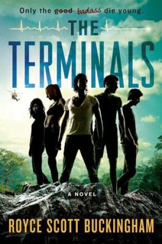 Cover of The Terminals