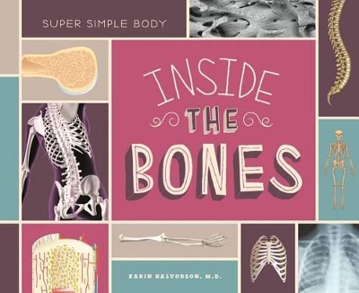 Book cover for Inside the Bones